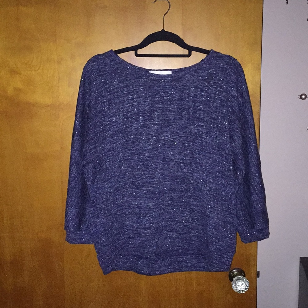 Beautiful and Sparkly Women’s Large Top